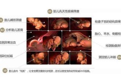 怀孕100天胎儿男女图（怀孕100天胎儿男女图片大全）