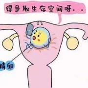 试管婴儿移植后输卵管部位疼是怎么回事,孕期输卵管痛怎么办