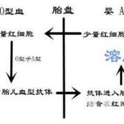 胎儿融血（abo溶血对胎儿发育有影响吗）