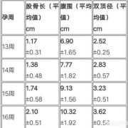 26周胎儿双顶径标准值是多少？孕中期时候了，要注意什么呢,六个月胎儿双顶径标准看男女