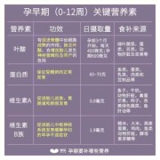 孕4周需补充什么营养,孕期所需营养素标准值