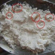 面粉生小白虫还能吃吗,孕期梦见虫子是怎么回事