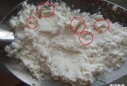 面粉生小白虫还能吃吗,孕期梦见虫子是怎么回事
