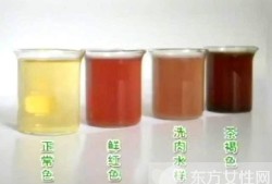 珊瑚黄瓜的来历,孕期尿黄红色
