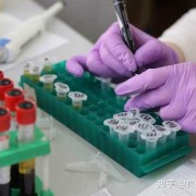 广州验胎儿（广州个人dna亲子鉴定多少钱）