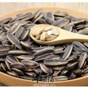孕晚期可以吃瓜子吗,孕期可以吃瓜子吗吃多少