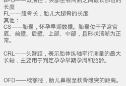 hl是胎儿的什么（彩超单上的BPD、HC、AC、FL分别指什么）