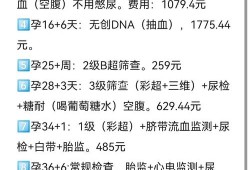 整个孕期检查多少钱（整个孕期检查多少钱一次）