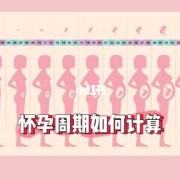 孕期周期计算（怀孕35周是怎么算?怀孕天数怎么计算呢）