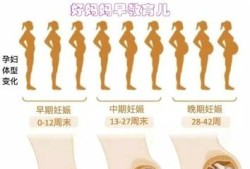 孕期各种反应（孕期各种反应是根据胎儿孕周来判断吗）