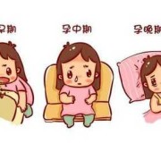 我怀孕11周了，没有任何反应，这是怎么回事呢,没有孕期反应是男孩还是女孩