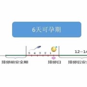 受孕期是什么意思（大象的受孕期是多长时间）