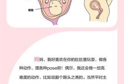 怀孕15周胎儿有多大，怀孕15周的注意事项,孕妇15周胎儿图片