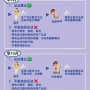 孕期 运动量（孕期运动量多少合适）