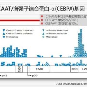 胎儿基因突变（CEBPA基因突变是什么）