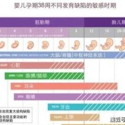 什么原因导致胎儿畸形（什么原因导致胎儿畸形率大）