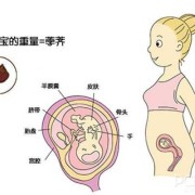 孕期肚子往前长（孕期肚子往前长是男孩女孩）