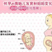 怀孕二十一周胎儿在哪？在哪个位置呢,21周胎儿在哪个位置图