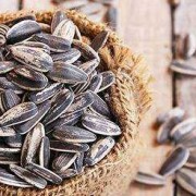怀孕期间能吃瓜子吗（怀孕期间能吃瓜子吗?）