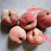 孕期能不能吃桃子（孕期能不能吃桃子,李子）