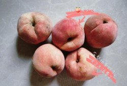 孕期能不能吃桃子（孕期能不能吃桃子,李子）