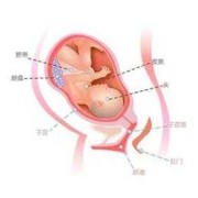 孕期三十六周（孕期三十六周可以生吗）