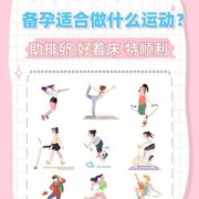 备孕期间做什么运动好（备孕干什么工作好）