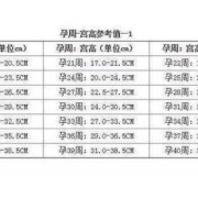 孕期子宫高度（孕期子宫高度对照表）