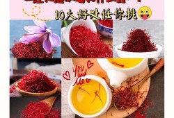 孕期可以喝藏红花吗（藏红花什么时候喝好?藏红花什么人不能喝呢?藏红花是一种很多人都听）