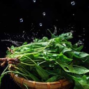 孕期可以吃菠菜（吃了菠菜大便会是黑色的吗）