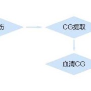 孕期甘胆酸（甘胆酸CG什么意思）