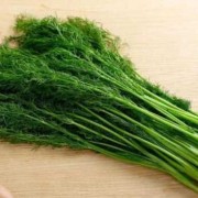 孕期爱吃青菜（孕期不爱吃青菜，长期这样会缺什么呢）
