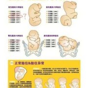 三十周胎儿图片（孕30周，胎儿头位低是什么意思呢，有什么影响）