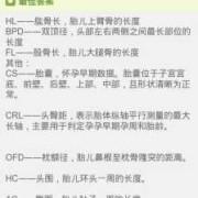 hl-fl汉语念什么,hl胎儿代表什么