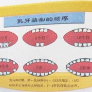 一周胎儿图（宝宝一周八个月了才长了七颗牙，怎么办？跟什么有关系）