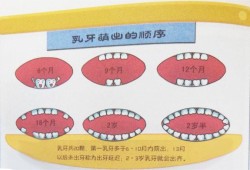 一周胎儿图（宝宝一周八个月了才长了七颗牙，怎么办？跟什么有关系）