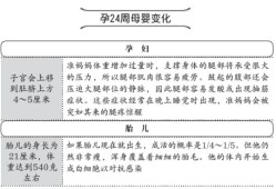 孕期24周（孕期24周是怀孕几个月）