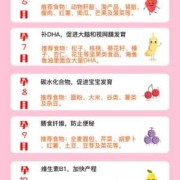 孕妇吃什么好,孕妇指南的内容是什么