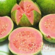 孕期可以吃番石榴吗（八个月宝宝能吃番石榴吗）