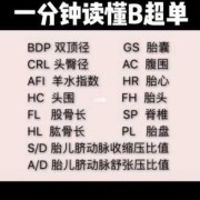胎儿英文缩写,胎儿英文单词