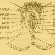 孕期外阴湿疹怎么治