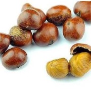 孕妇真的能吃板栗吗,备孕期间可以吃板栗吗?