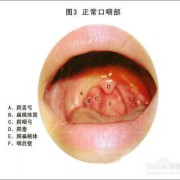 孕期喉咙烧灼（孕期喉咙烧灼感是什么原因引起的）