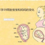 怀孕多少周算是足月胎儿（胎儿要多久才是足月）