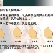 孕期乳头变深（怀孕乳晕变大颜色变深正常吗？怀孕期间身体会有什么变化）