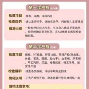 备孕期间做什么检查（备孕期间做什么检查有助于怀孕）
