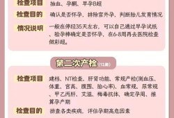 备孕期间做什么检查（备孕期间做什么检查有助于怀孕）