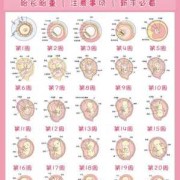 足月宝宝是几周,胎儿一般几周出生属于正常呢?