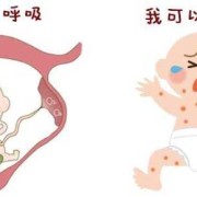 胎儿需要呼吸吗（胎儿需要呼吸吗为什么）