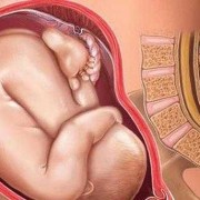 宝宝在肚子里打嗝感觉是什么样的,胎儿打嗝什么感觉孕22周
